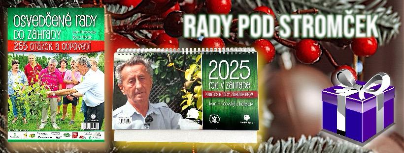 Rady pod stromček